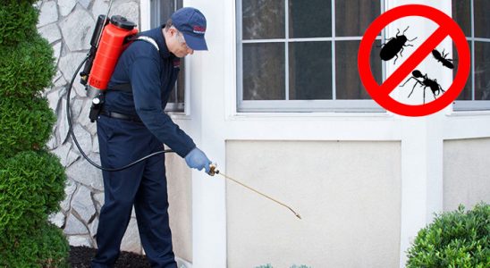 Ayaş Hamam Böceği İlaçlama böcek ilaçlama ve haşere kontrolü — ilaclama-tr.com
